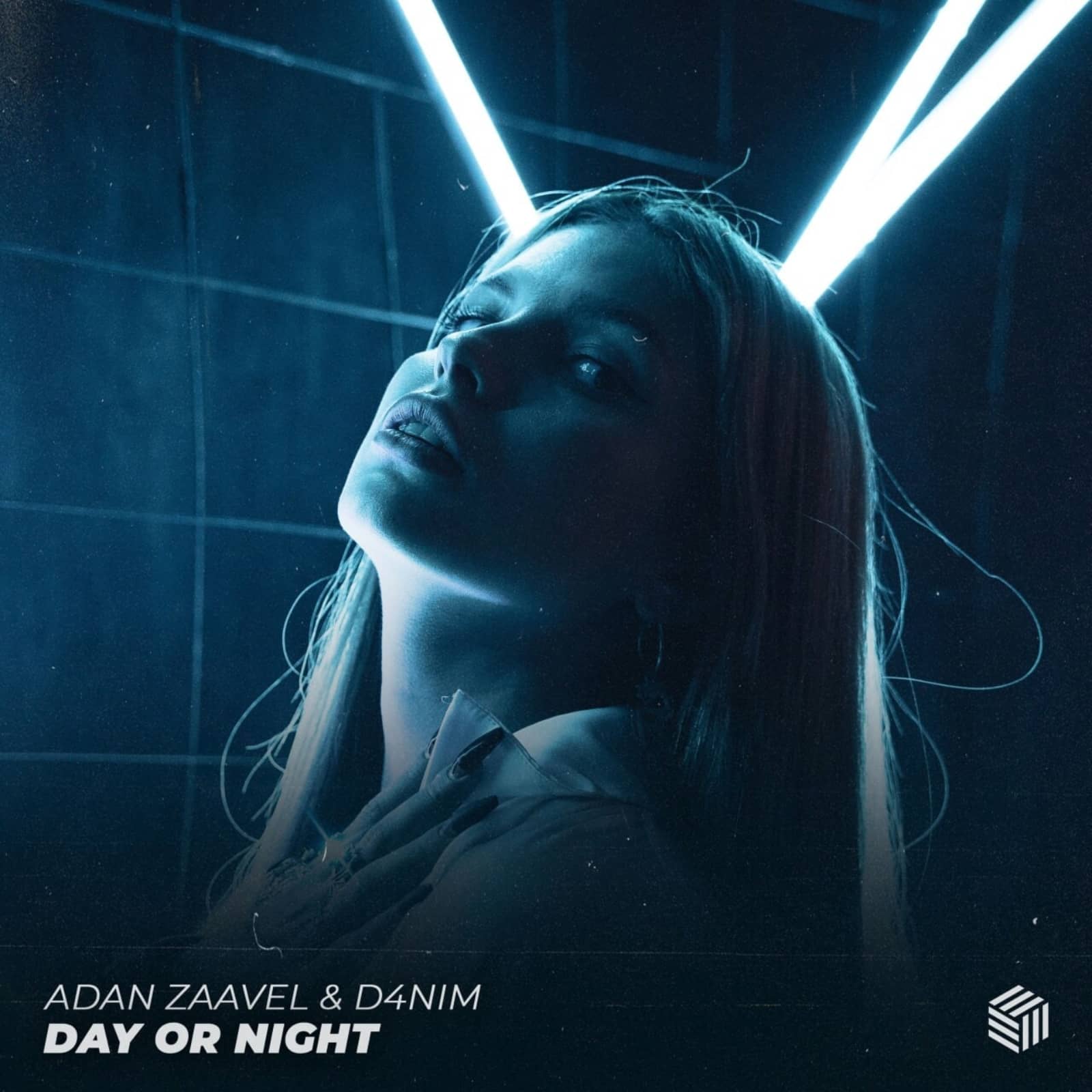 Adan Zaavel & D4NIM — Day Or Night (Extended Mix)