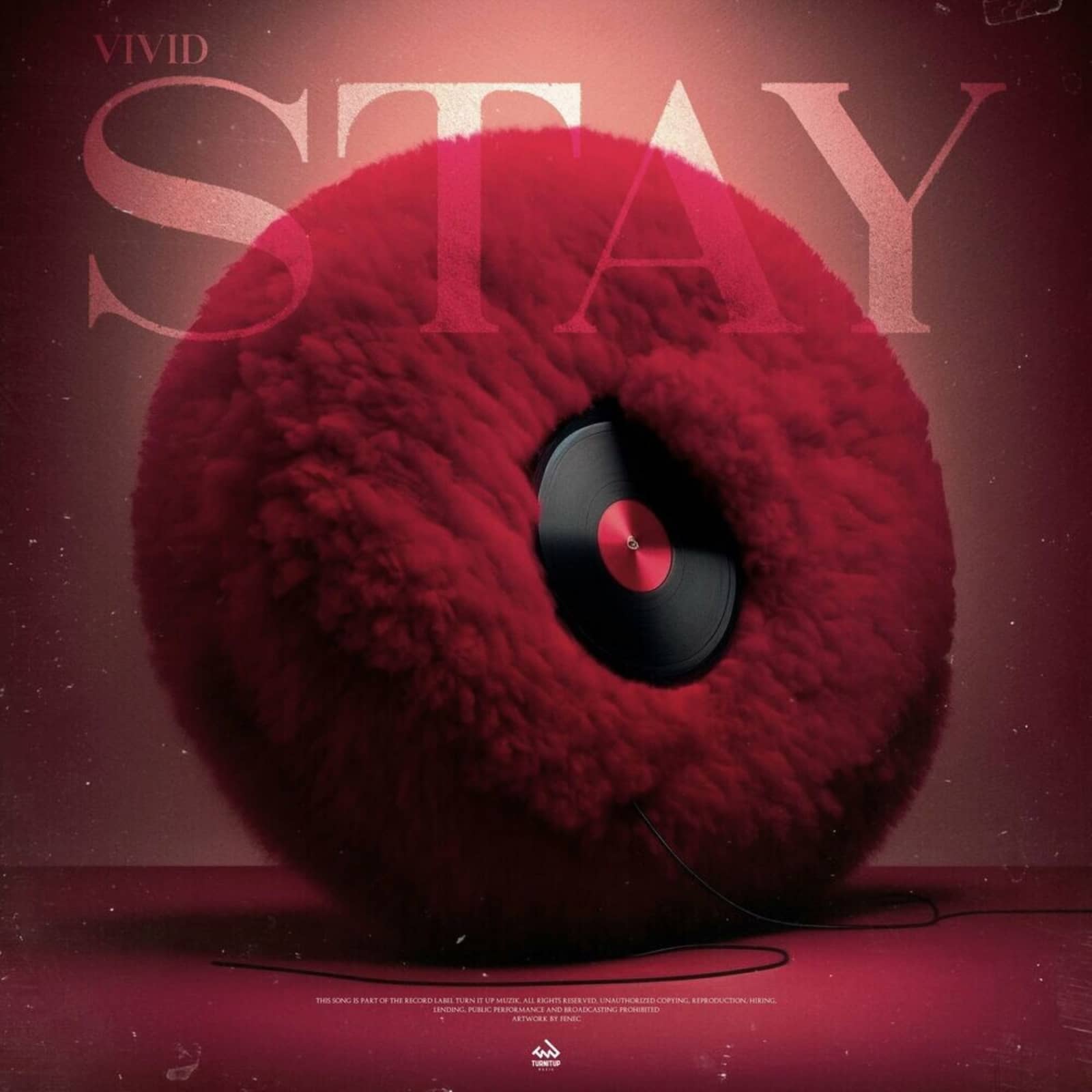 Vivid — STAY