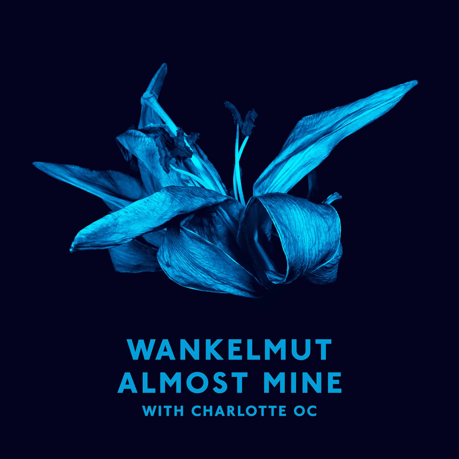 Wankelmut & Charlotte Oc — Almost Mine