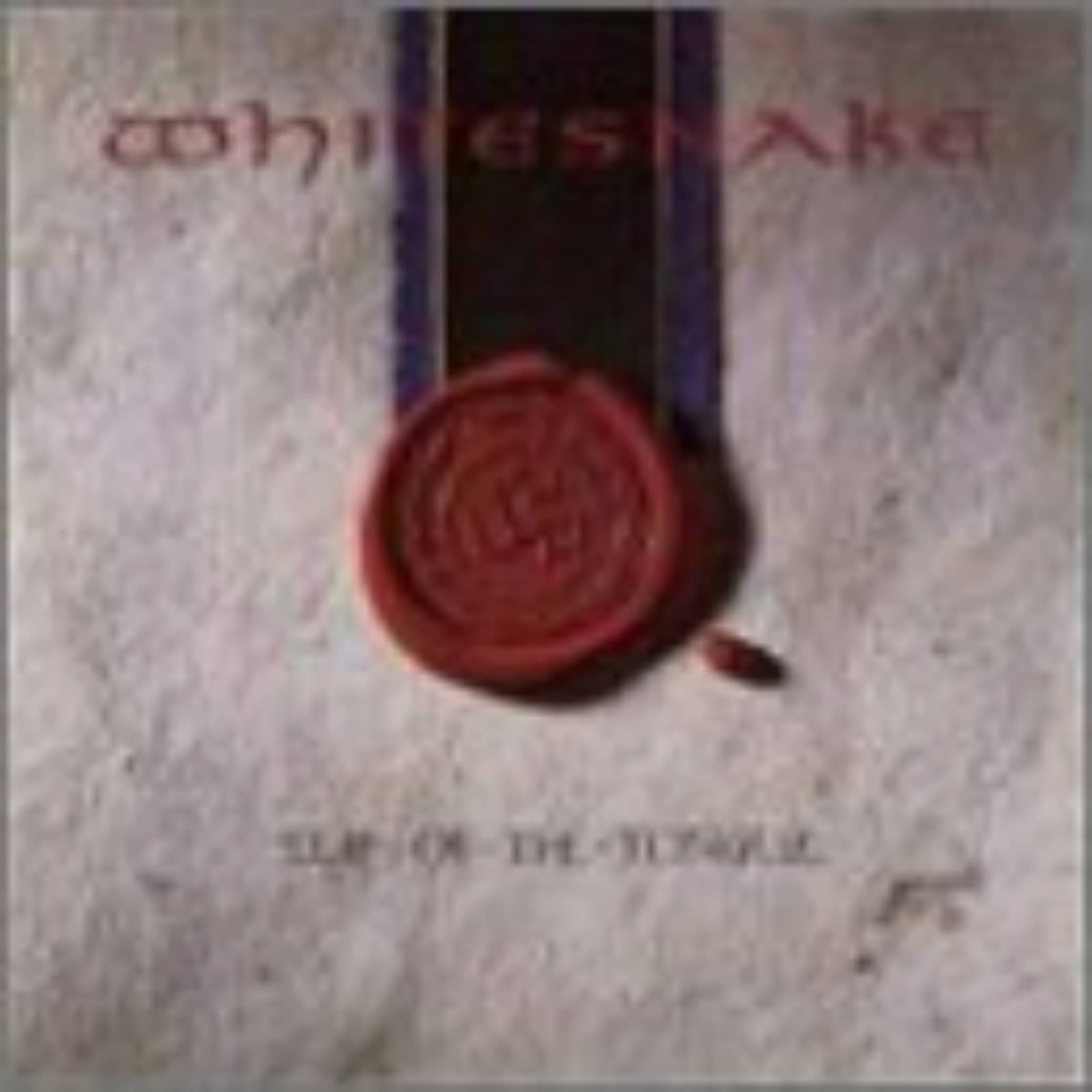 Whitesnake — Now You're Gone