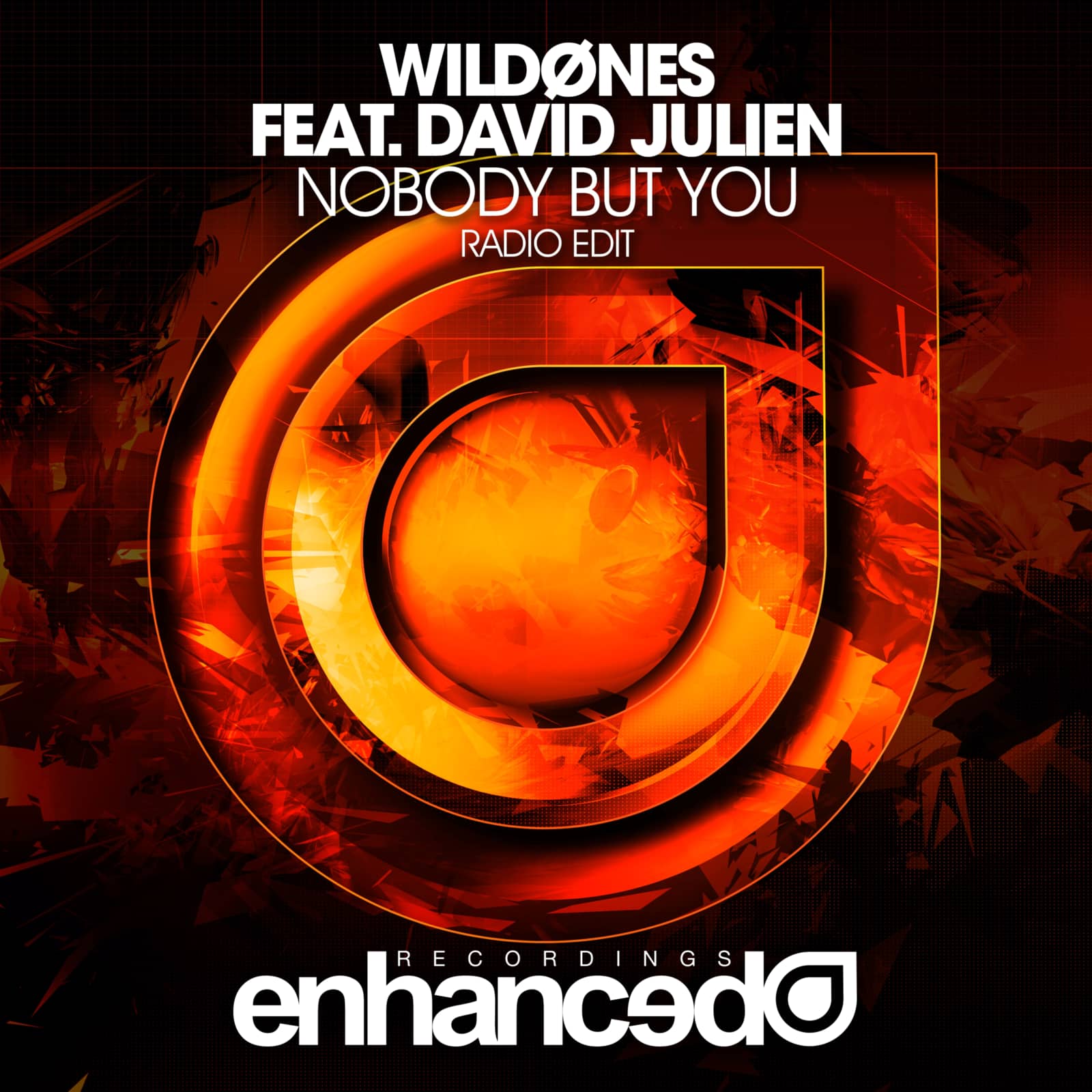 Wildones feat. David Julien — Nobody But You