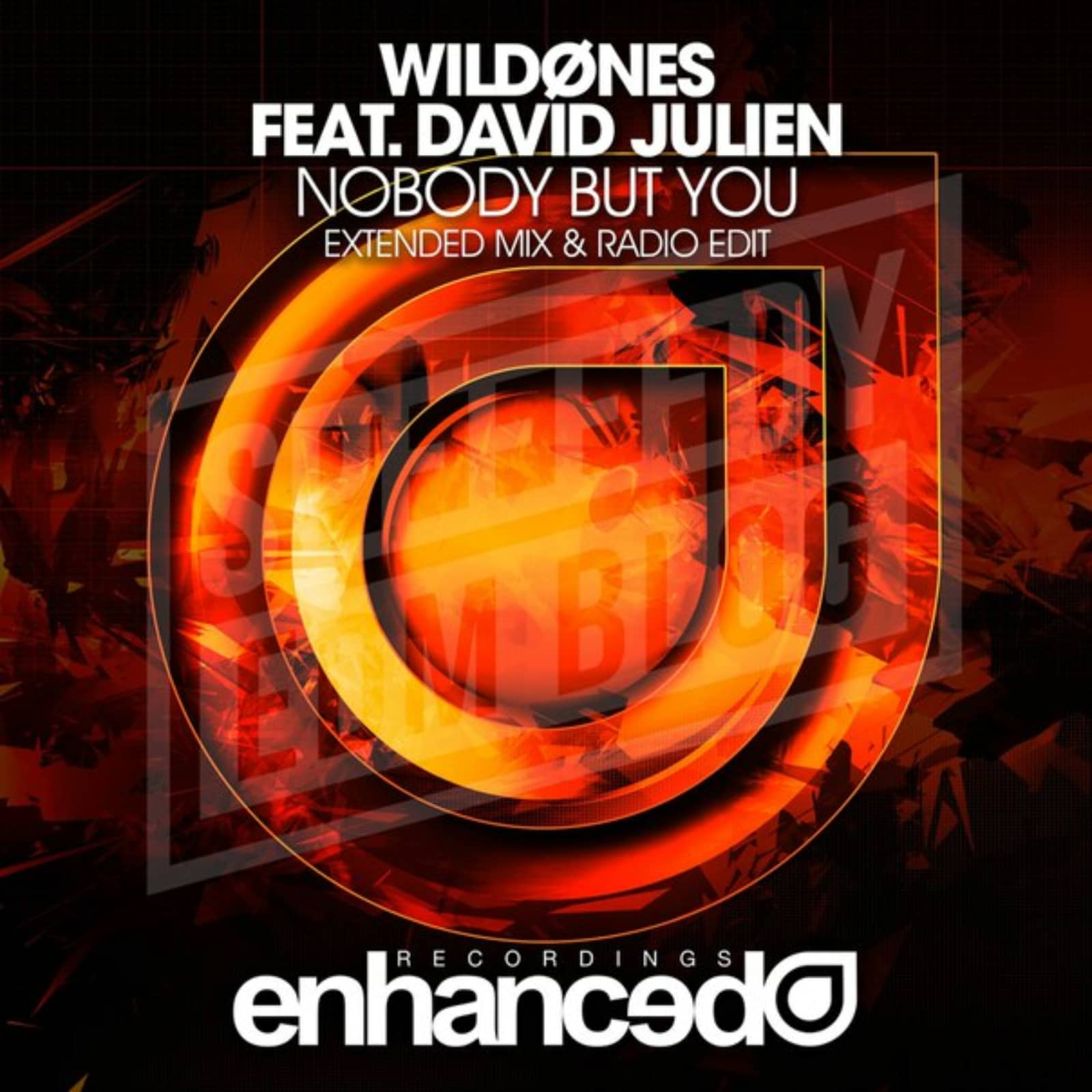 WildOnes feat. David Julien — Nobody But You (Radio Edit)
