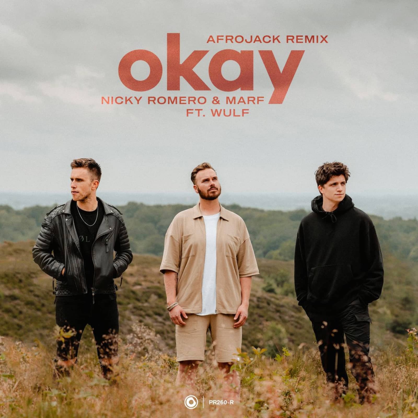 Nicky Romero x Marf feat. Wulf — Okay (Afrojack Remix)