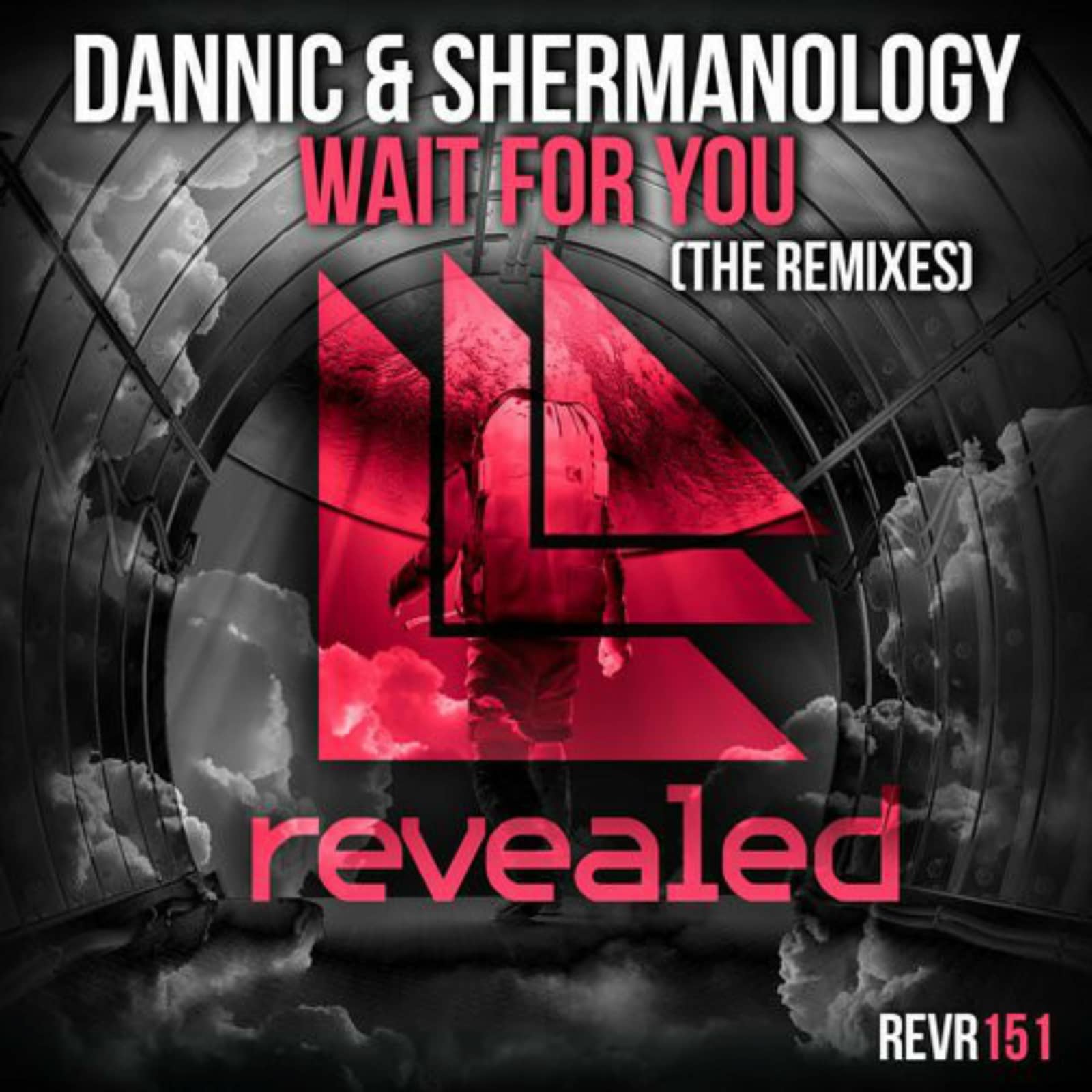 Dannic & Shermanology — Wait For You (Tom & Jame Remix)