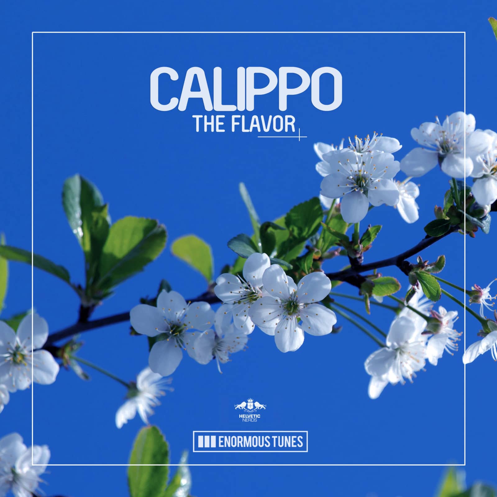 Calippo — The Flavor