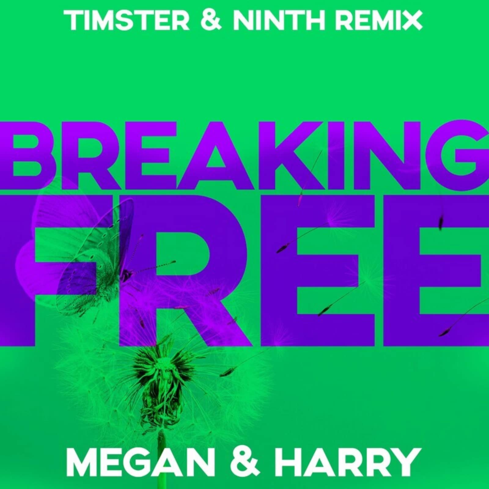Megan & Harry — Breaking Free (Timster & Ninth Remix Edit)